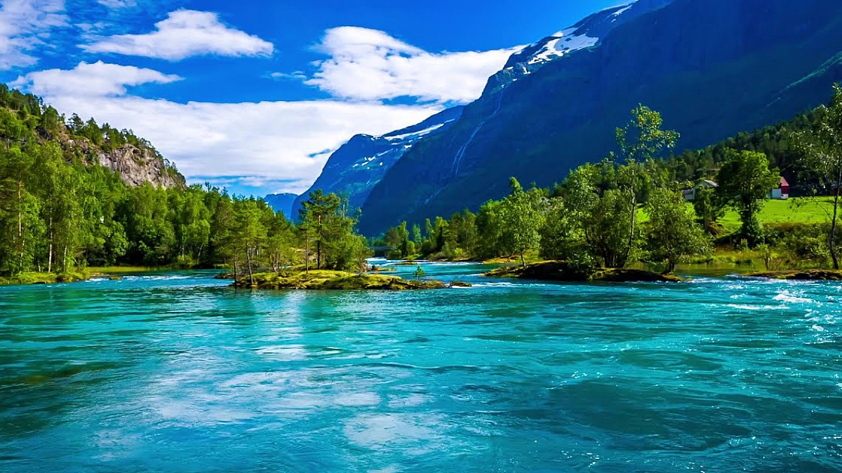 Nature