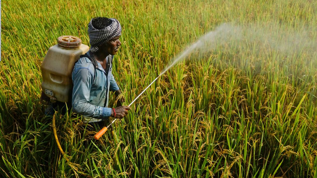 Agriculture Scheme