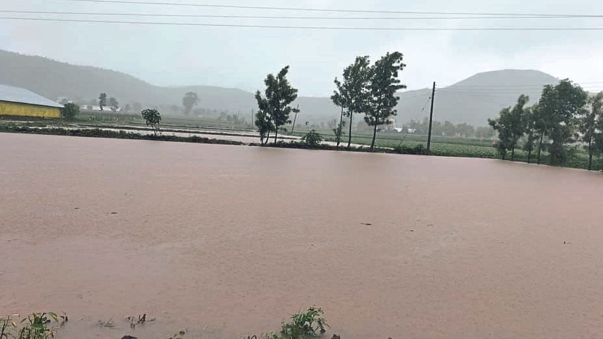 Heavy Rain in Nashik | Nashik Rain News