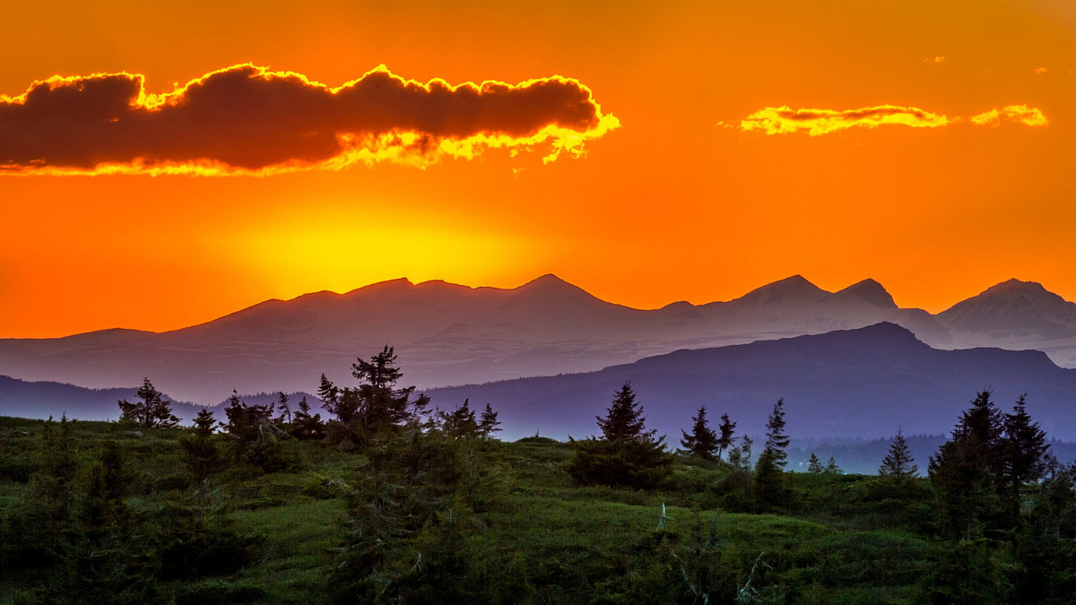 Arunachal Pradesh
