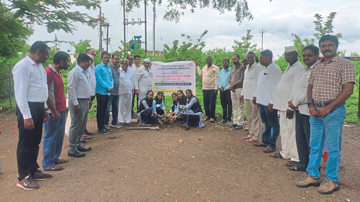Tree Planting : कृषी संजीवनी सप्ताहानिमित्त वृक्षारोपण आयोजन