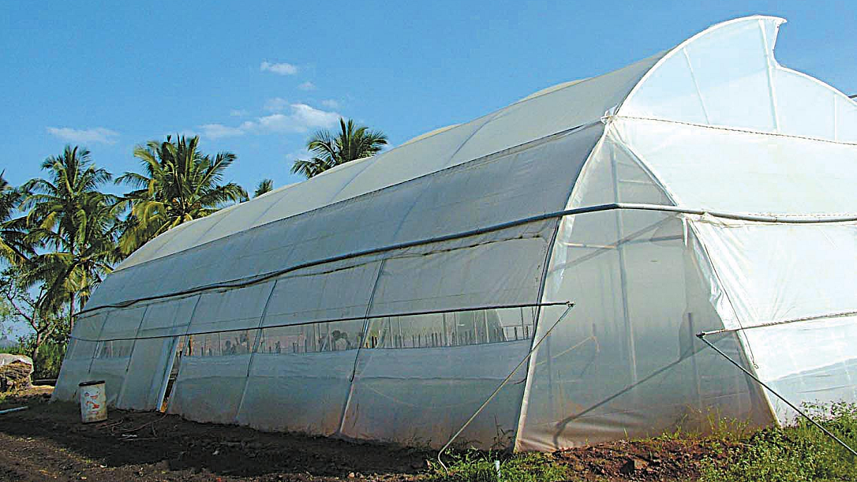 Green House