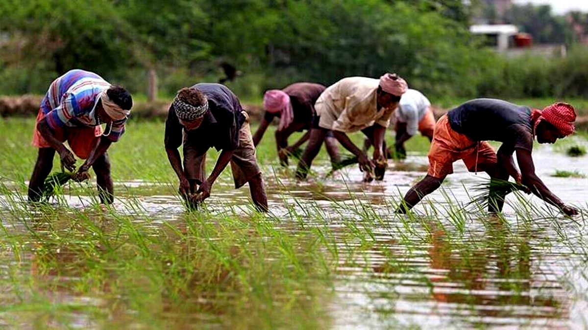 Kharif Sowing