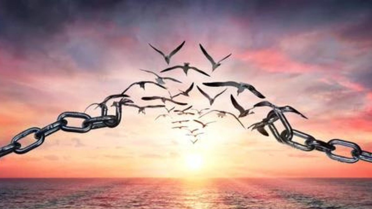 Freedom