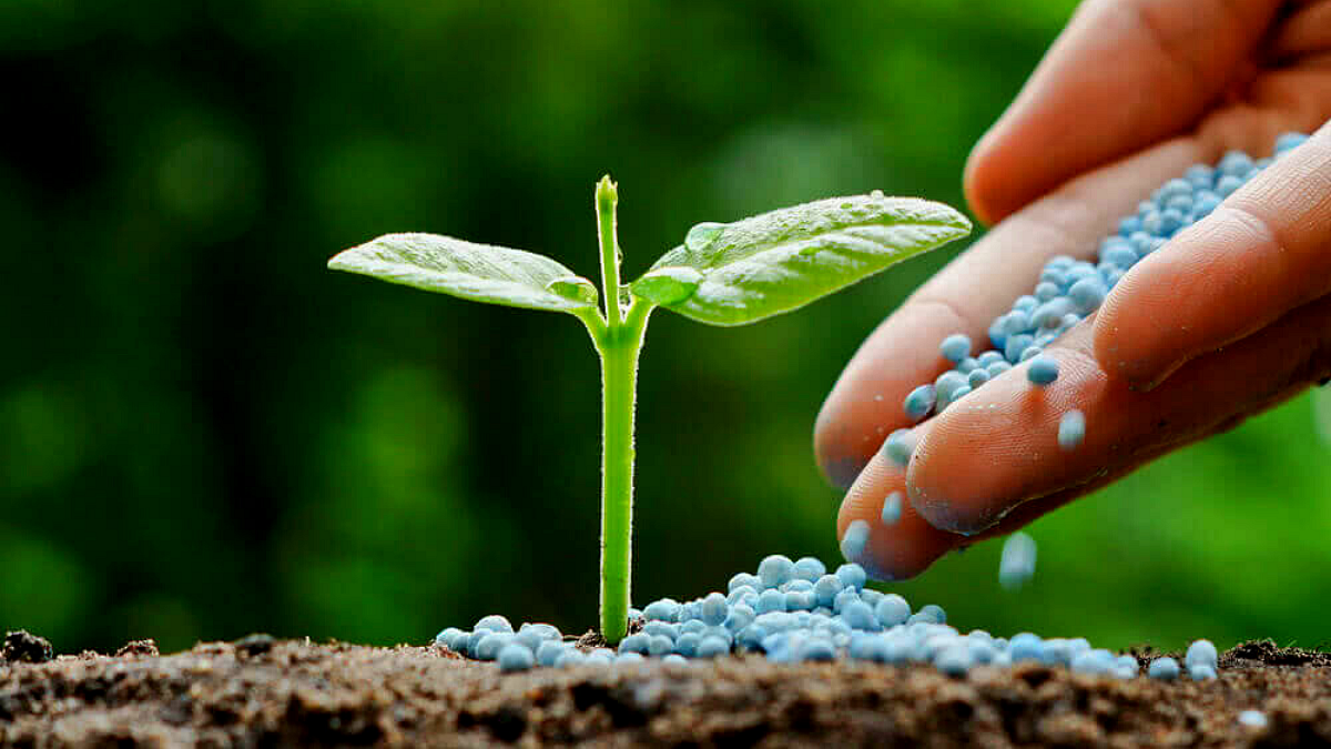 Fertilizer