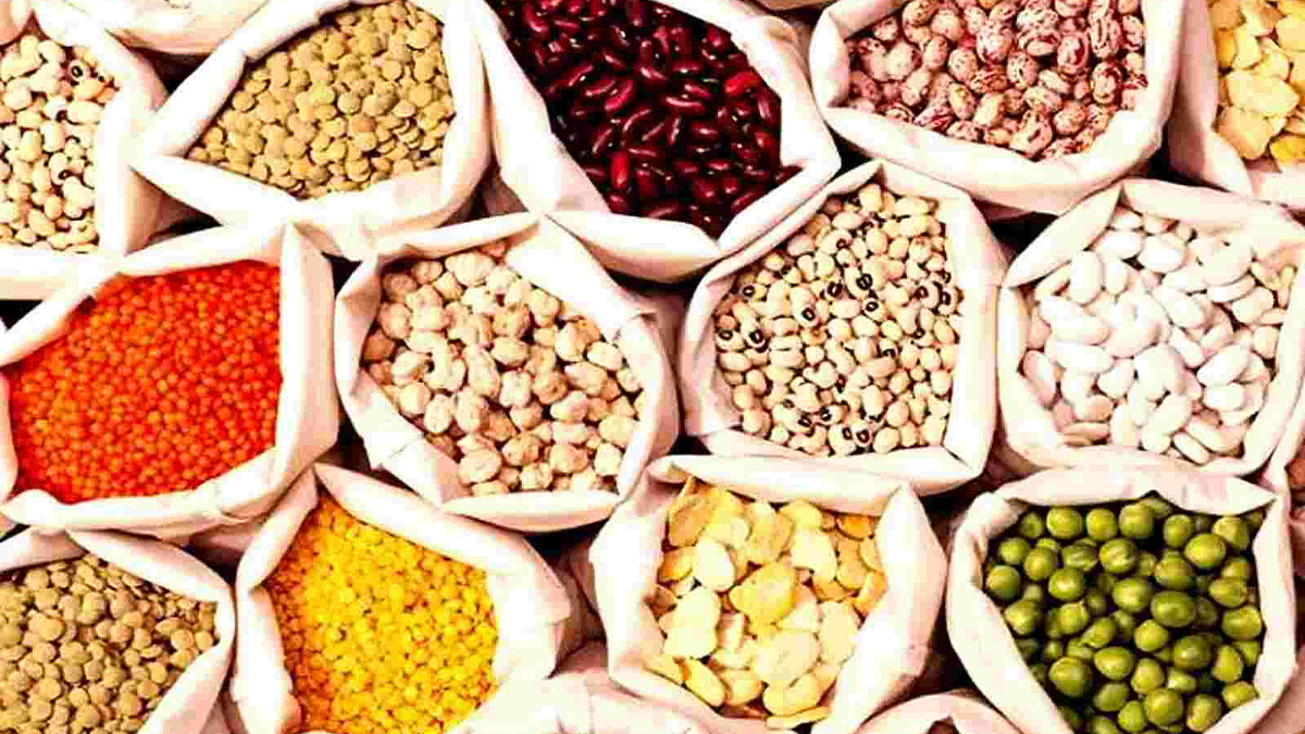 Spice