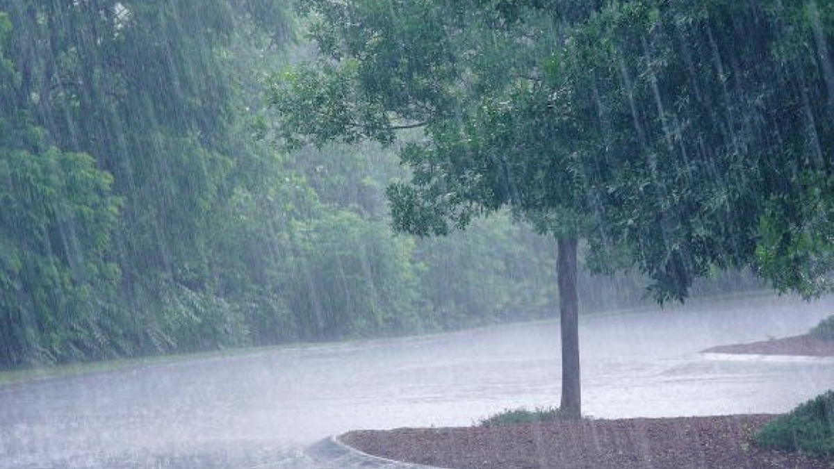 Weather Updates