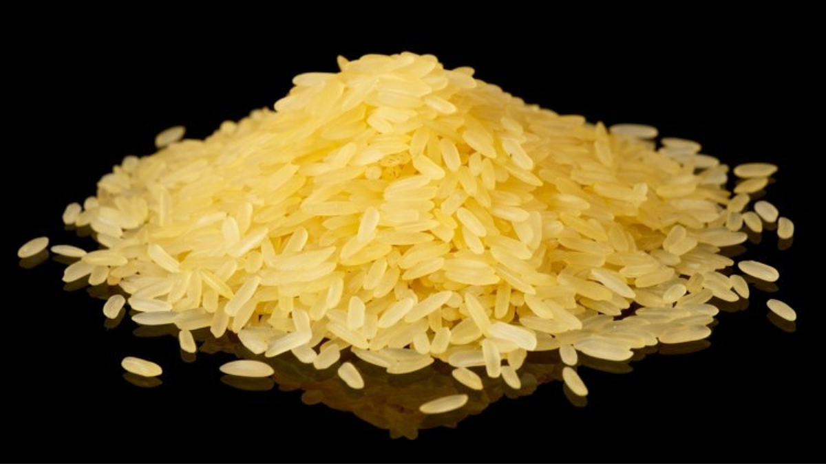 GM Rice