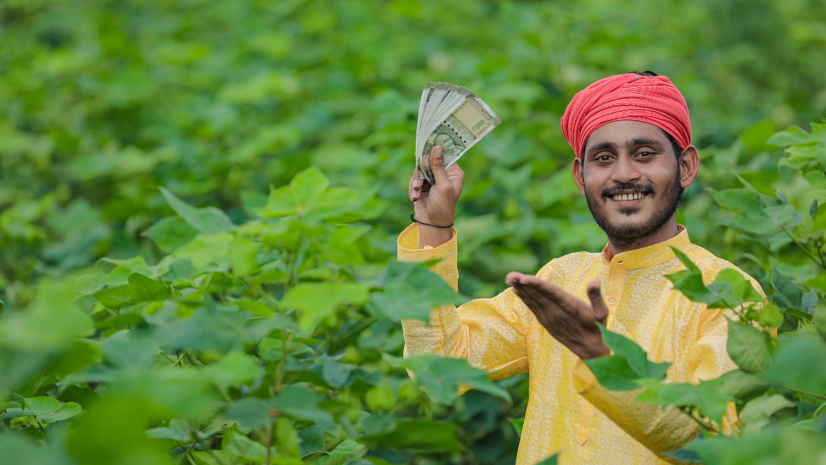Doubling Farmers Income: शेतकऱ्यांचे उत्पन्न दुप्पट करण्याला प्राधान्यः पीयुष गोयल
