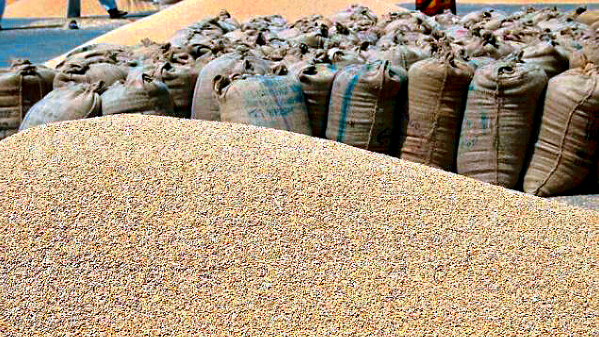 Wheat Export