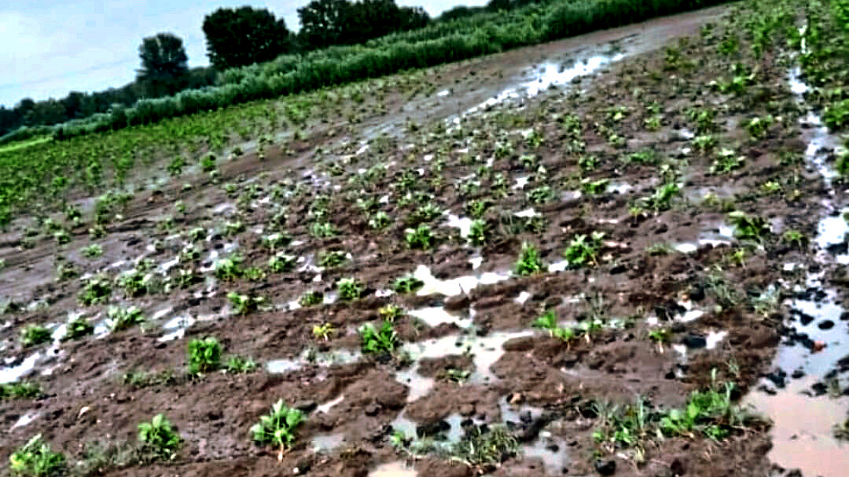 Heavy Rain