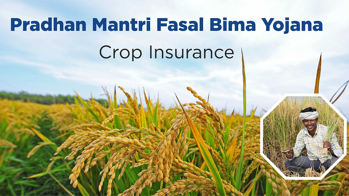 Crop Insurance