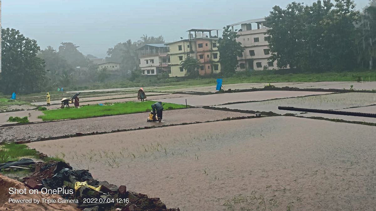 Rain Update