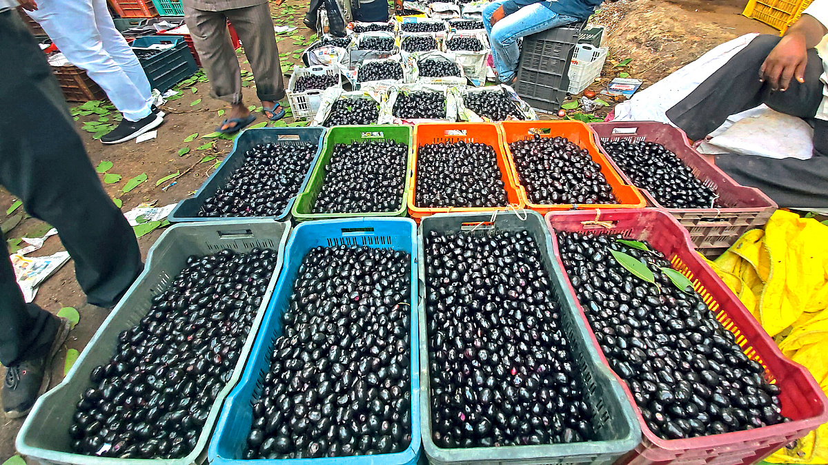 Fruit Market