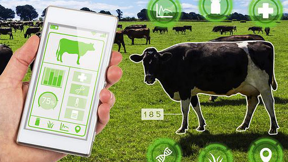 Dairy Development