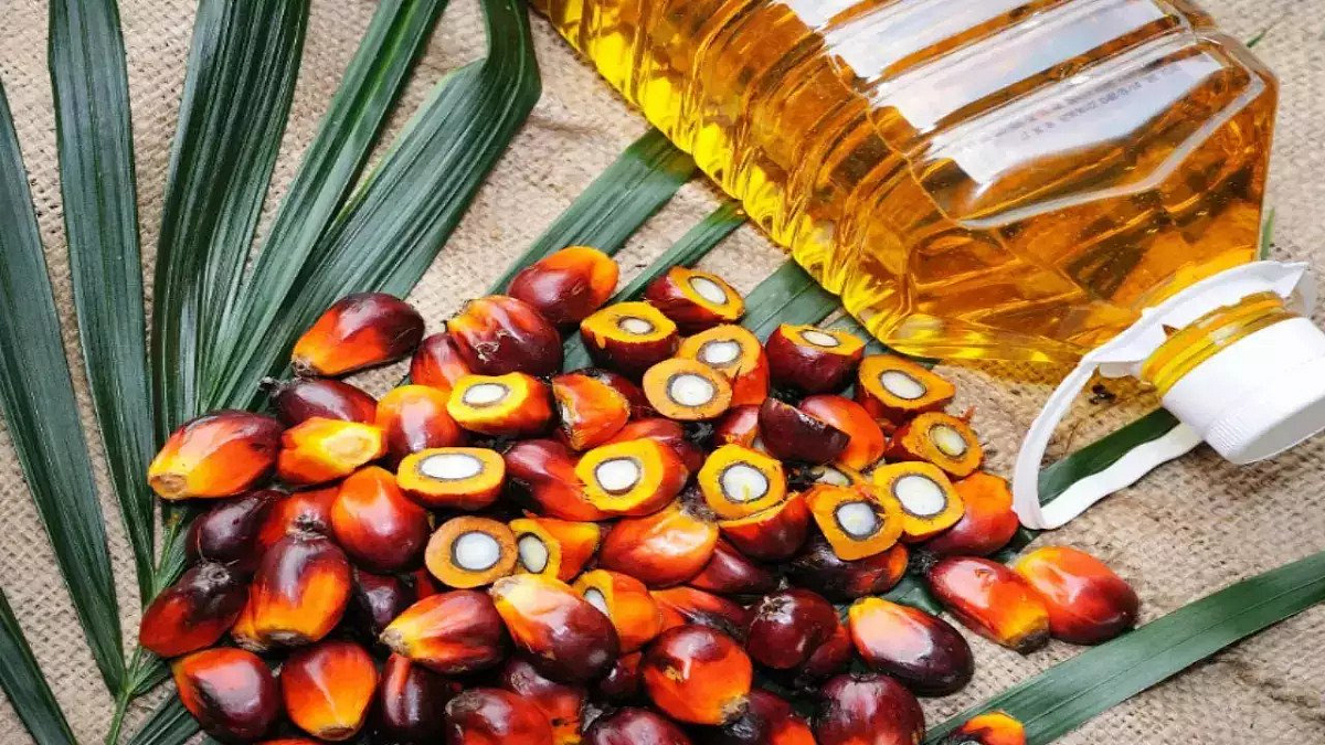 Palm Oil