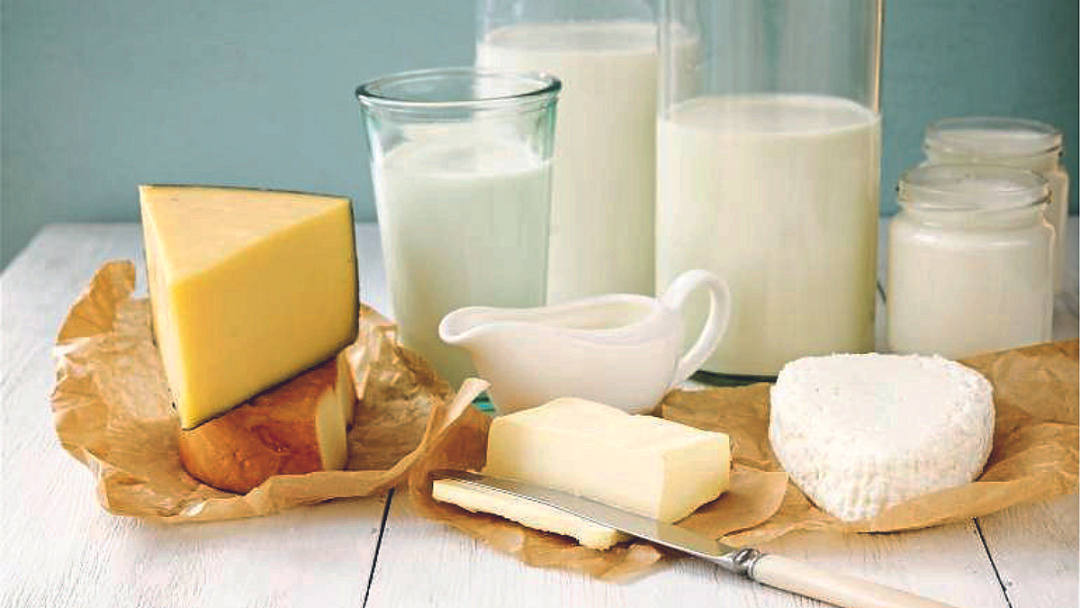 Katraj Milk
