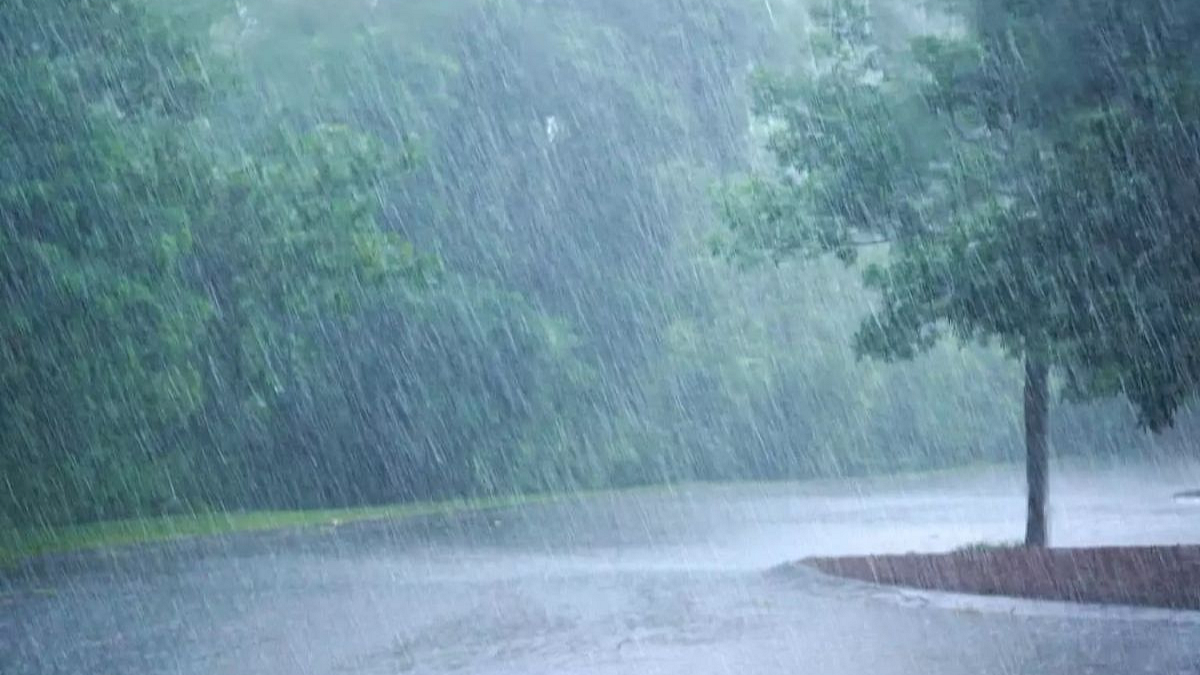 Heavy Rain