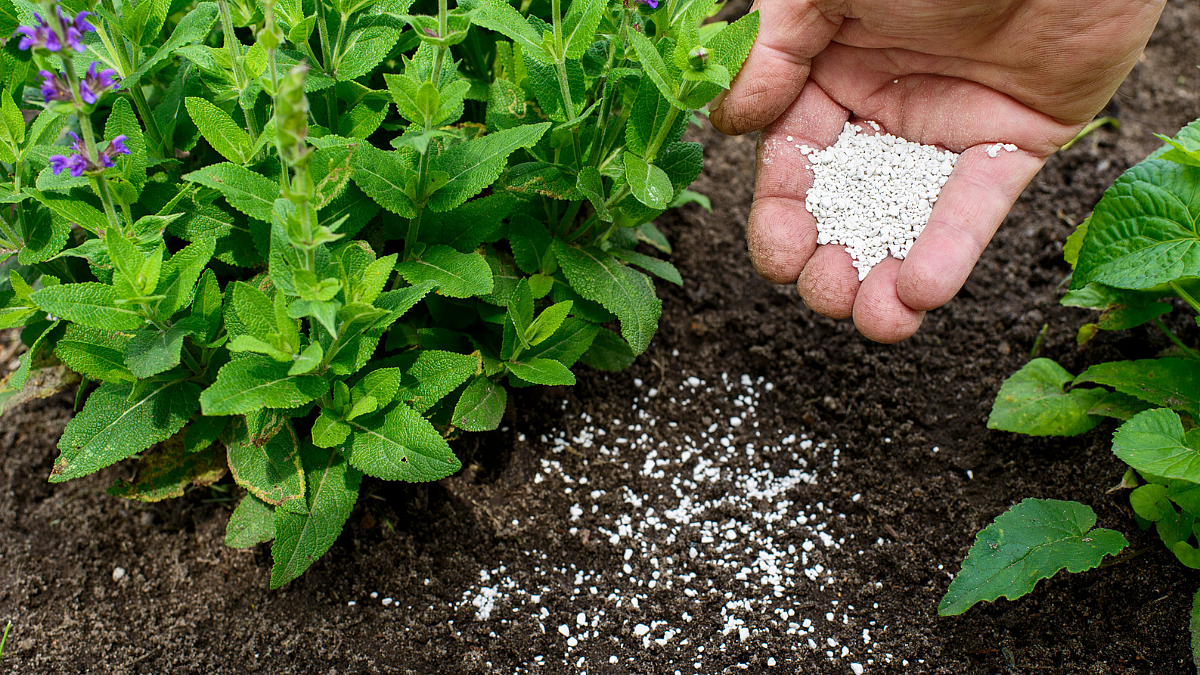 Fertilizer