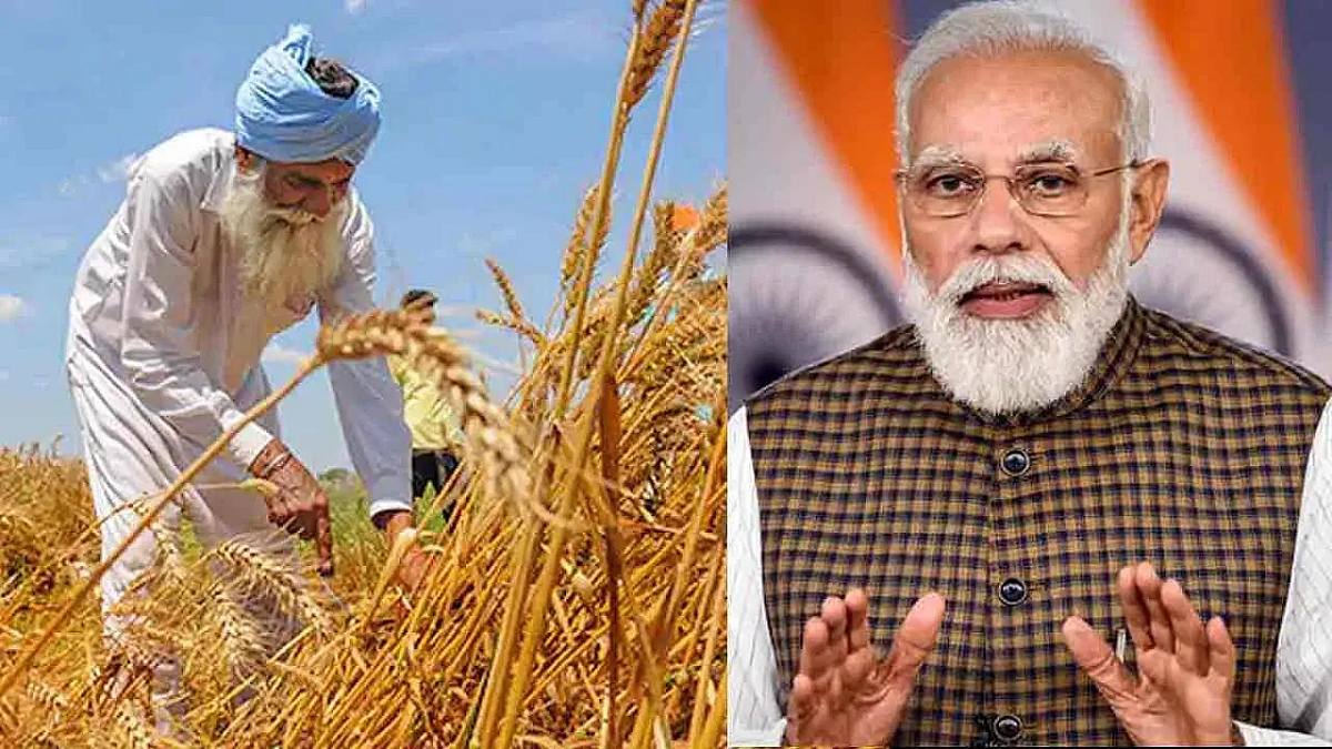 Wheat Export Ban