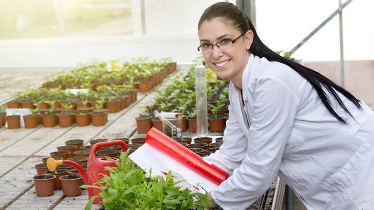 Agriculture Stidy