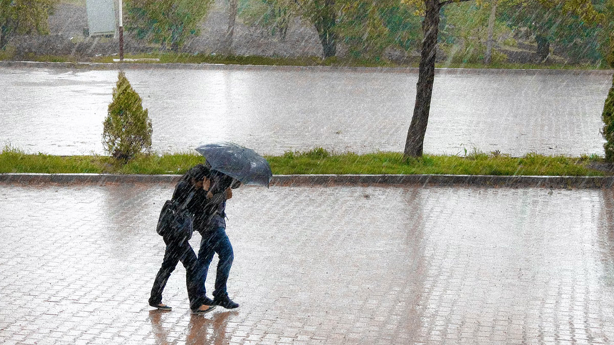 Rainfall