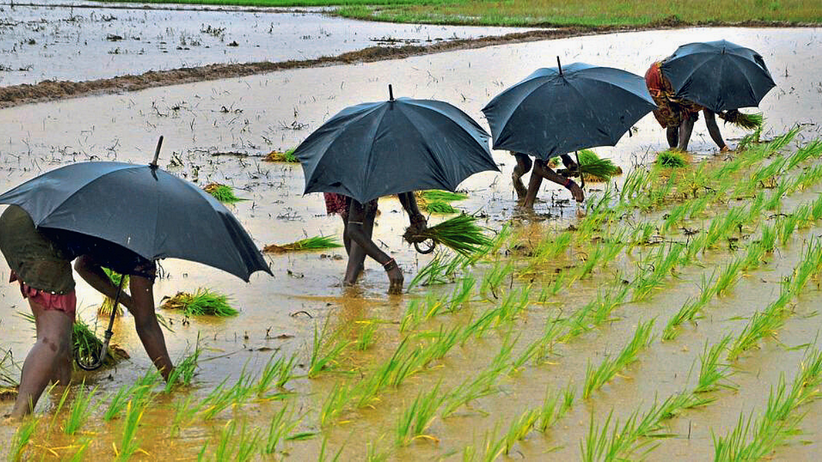 Monsoon