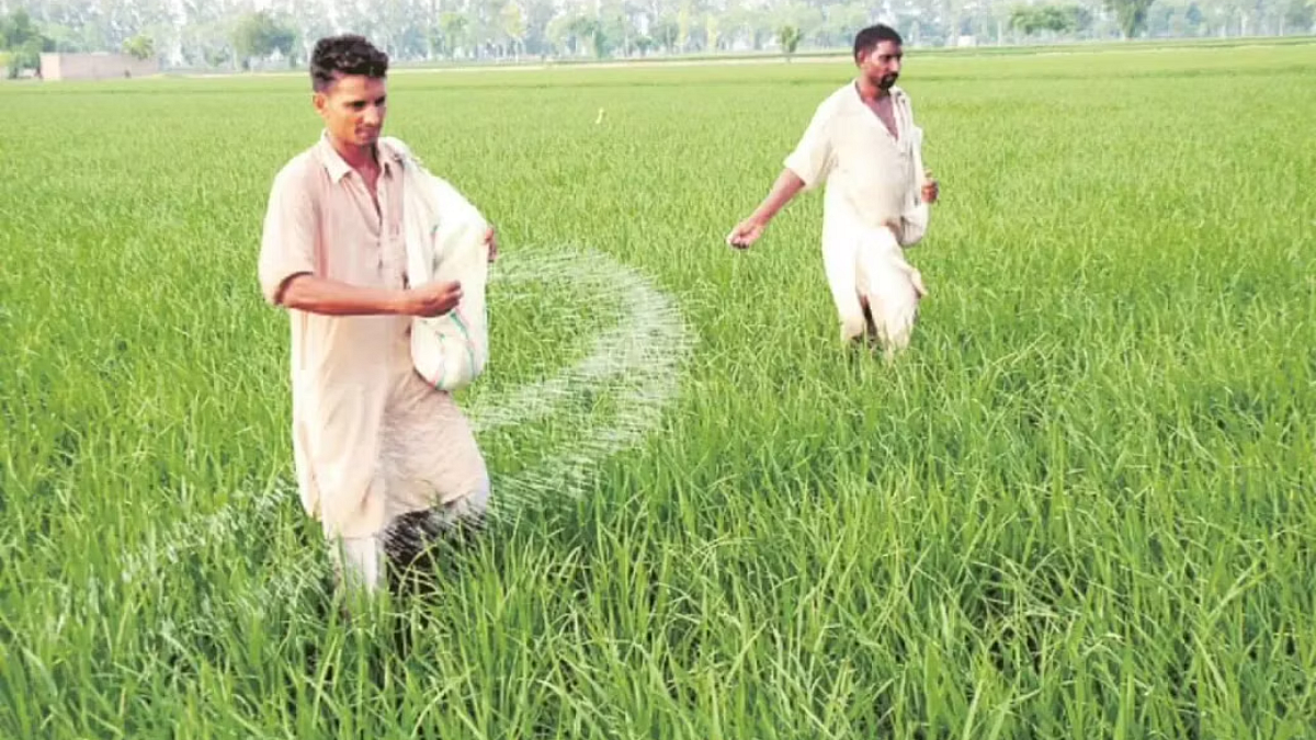Fertilizer