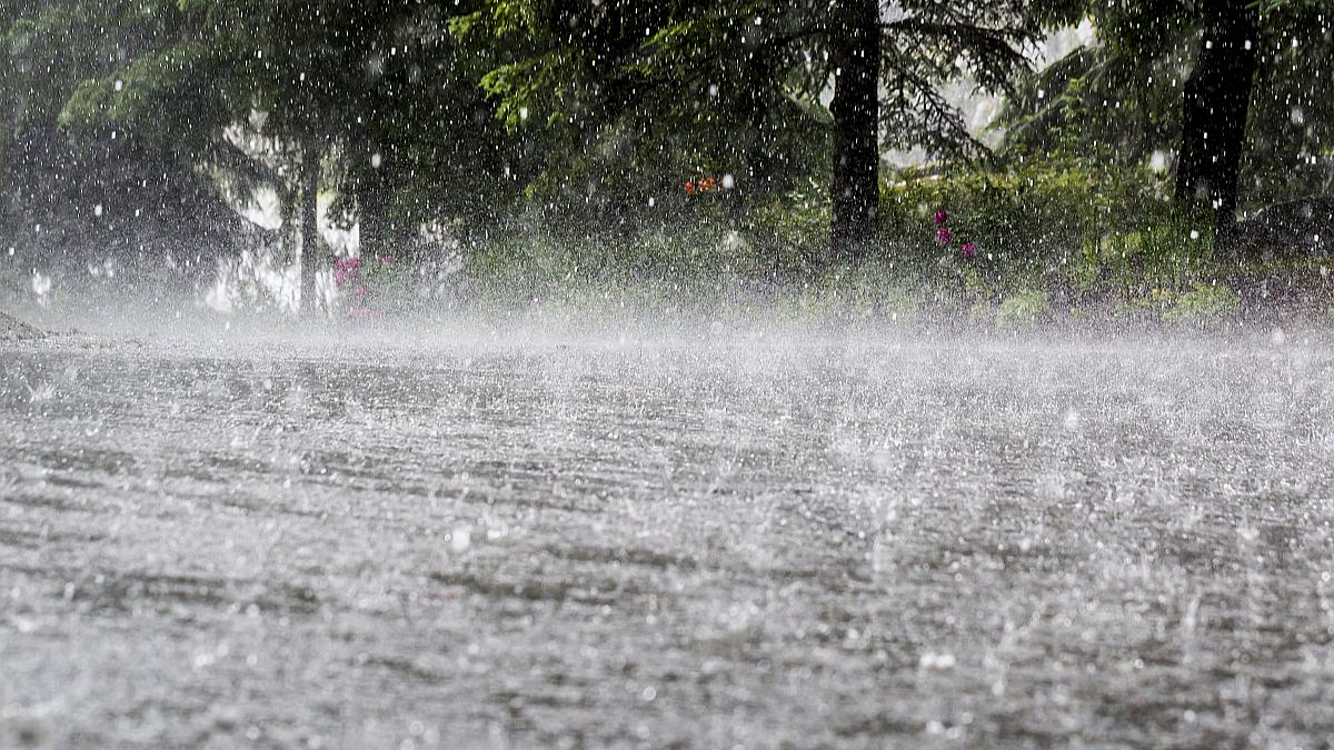 Heavy Rain