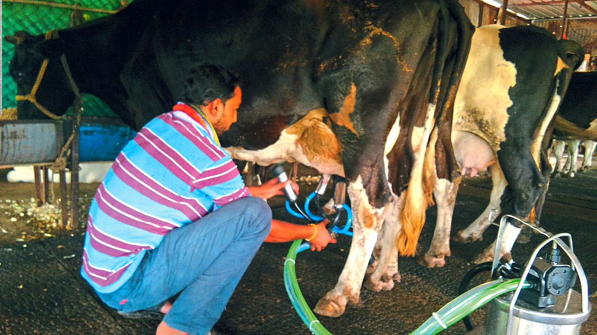 Animal Care