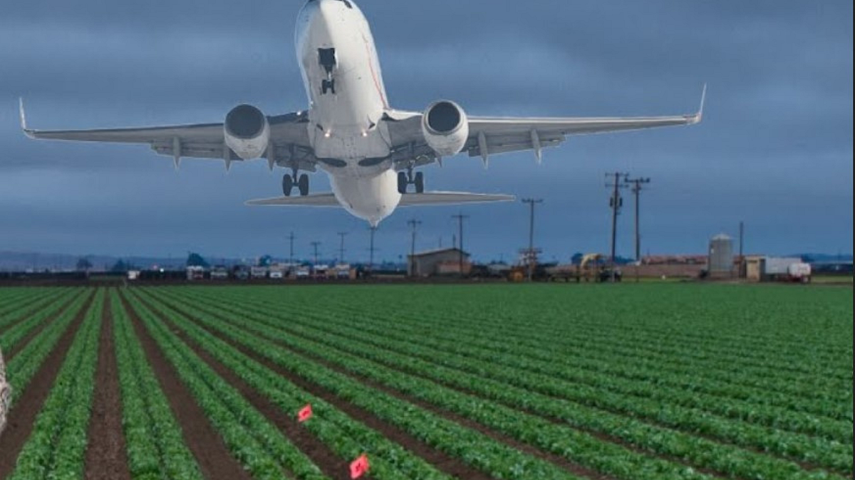 Agriculture Export