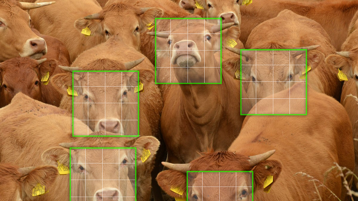 Agriculture Technology