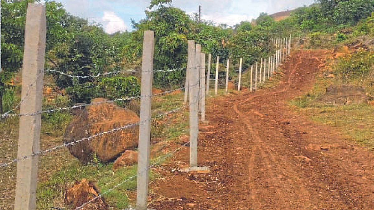 Agriculture Fencing