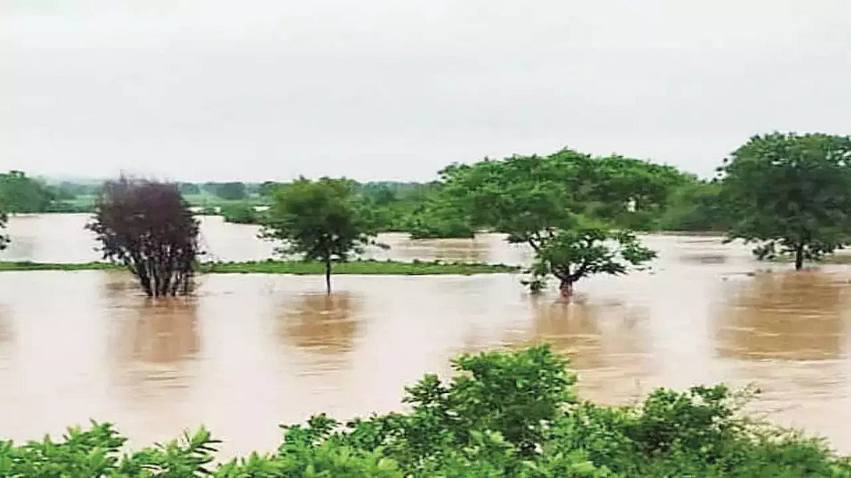 Crop Damage