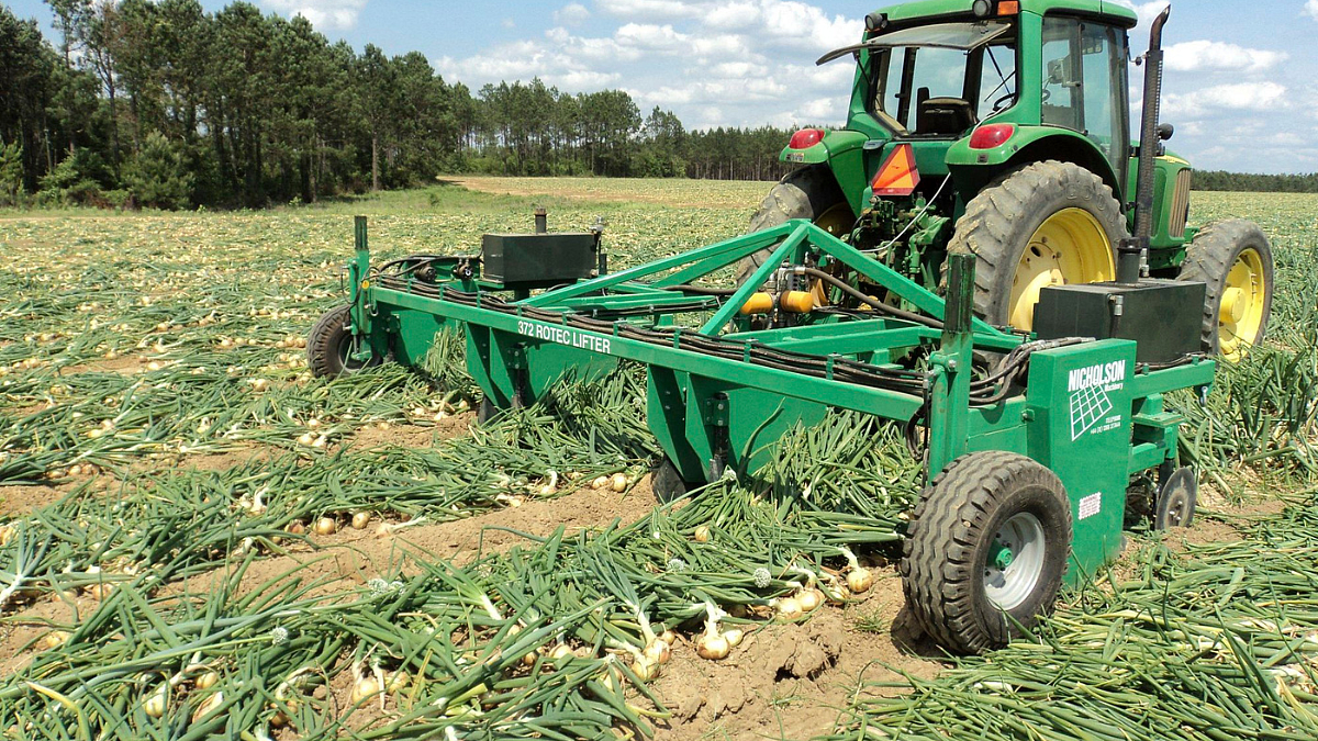 Onion harvester
