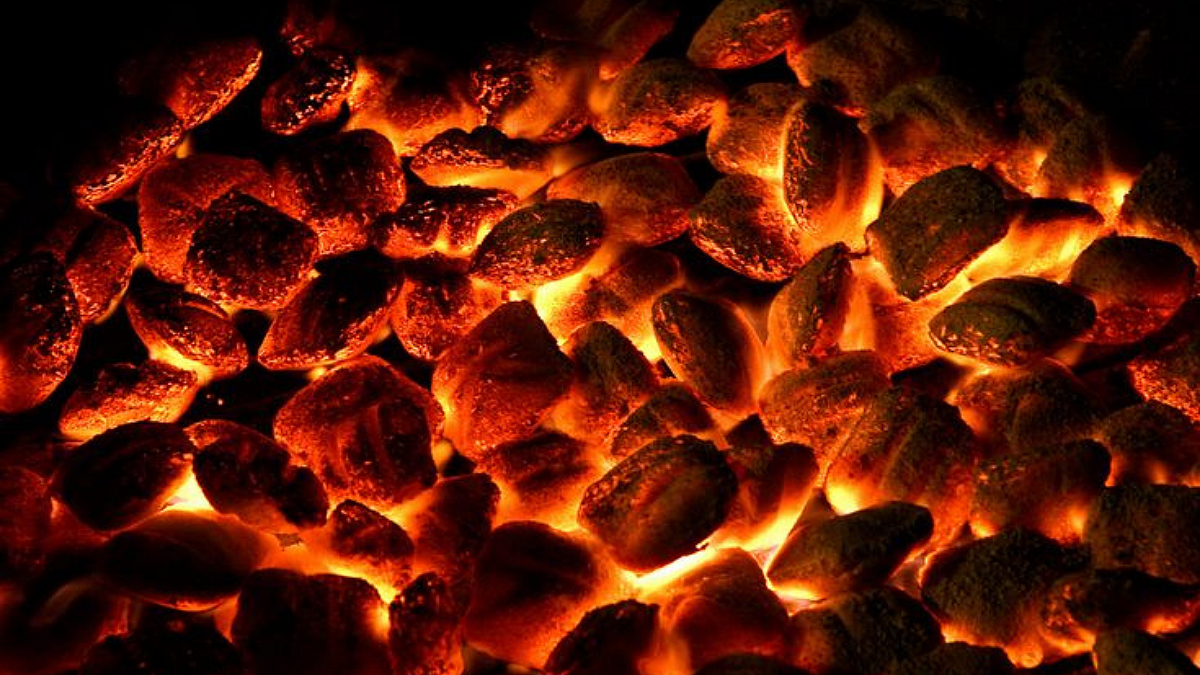 Coal