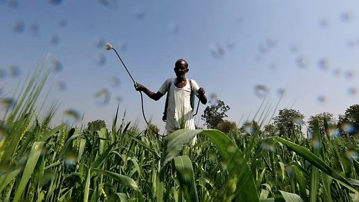 Crop Insurance Scheme