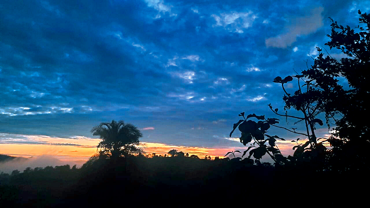 Monsoon