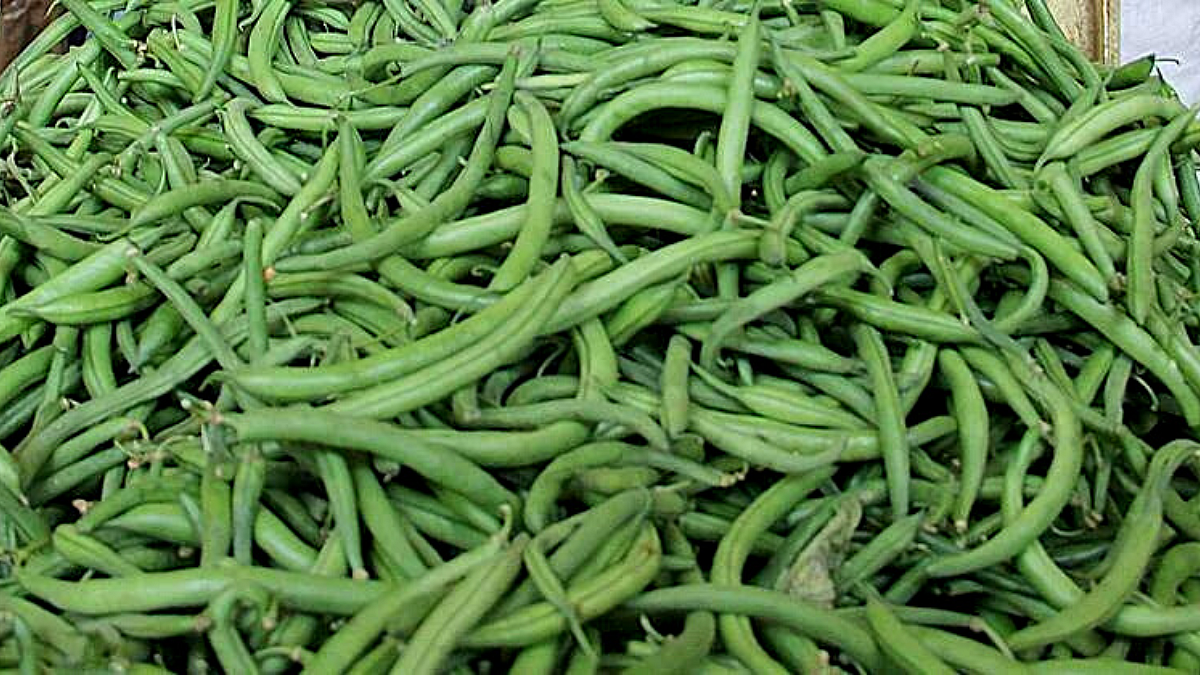 Vegetable