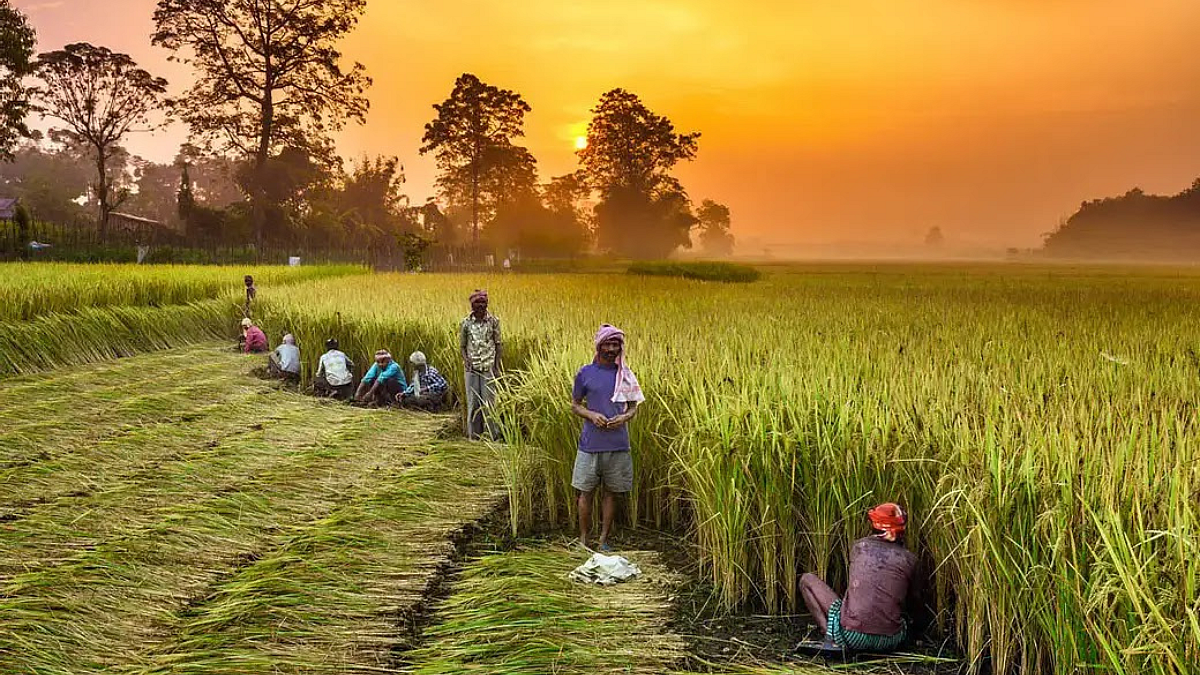Rural Development