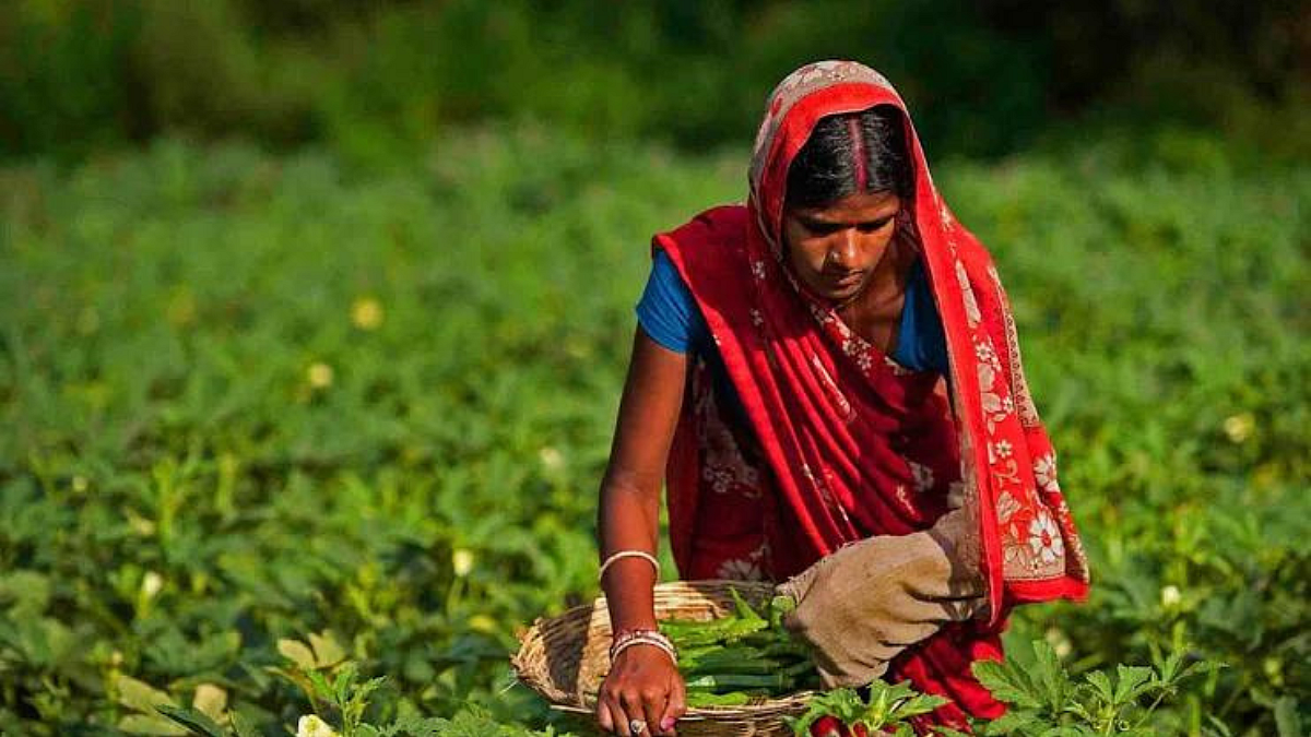 Agriculture Employment