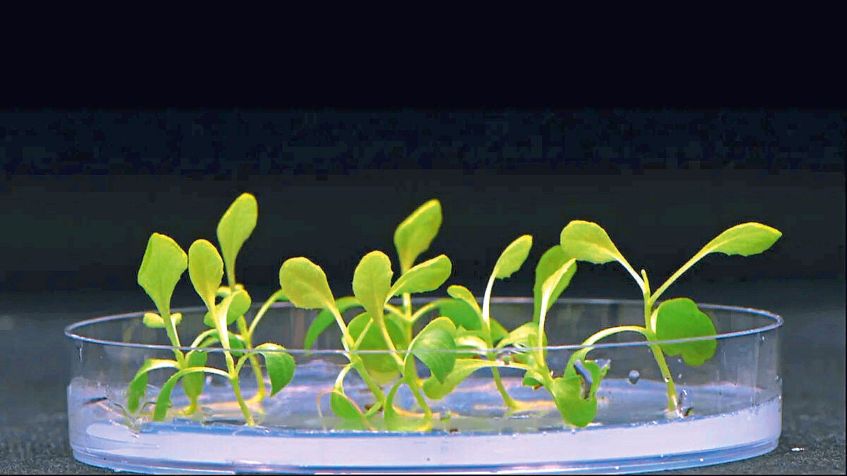 Agriculture Technology
