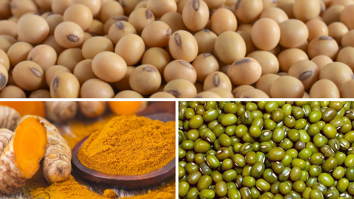 Soybean