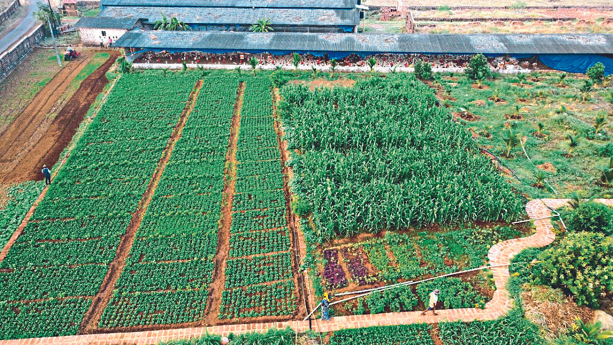 Agriculture