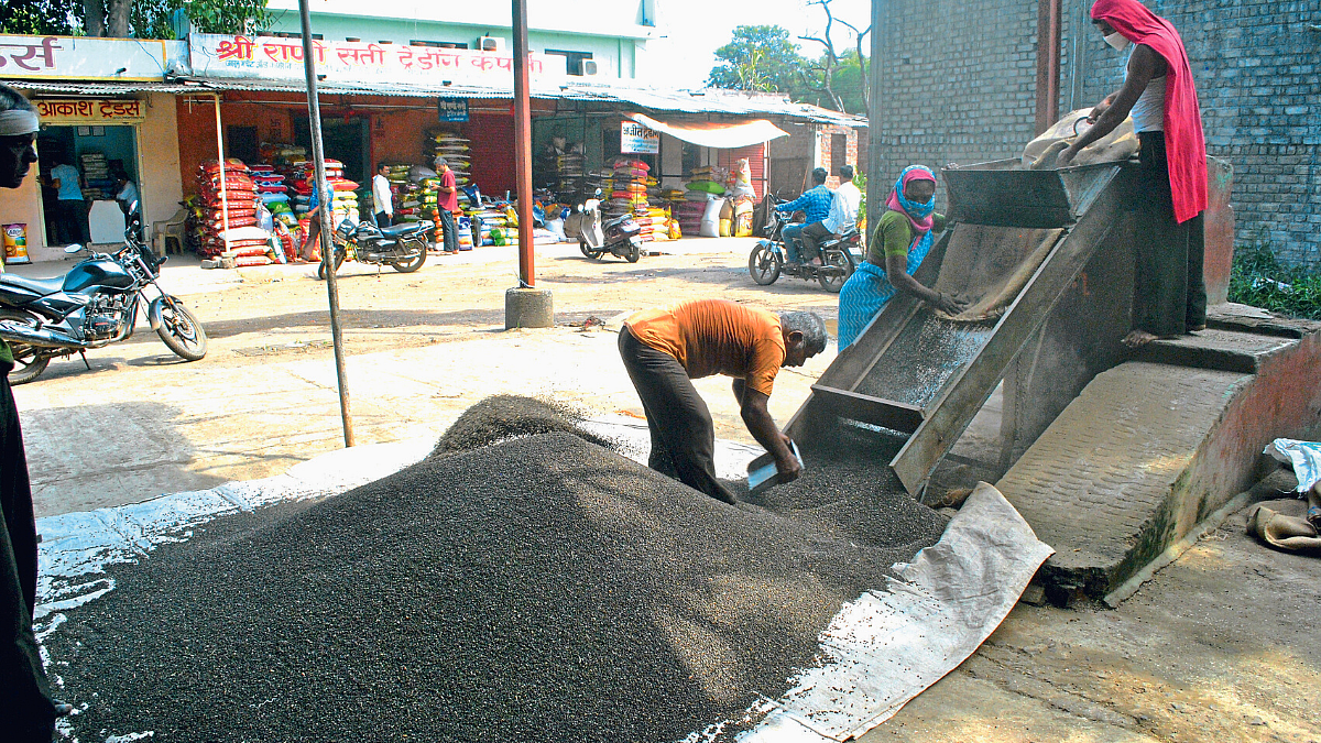 Urad