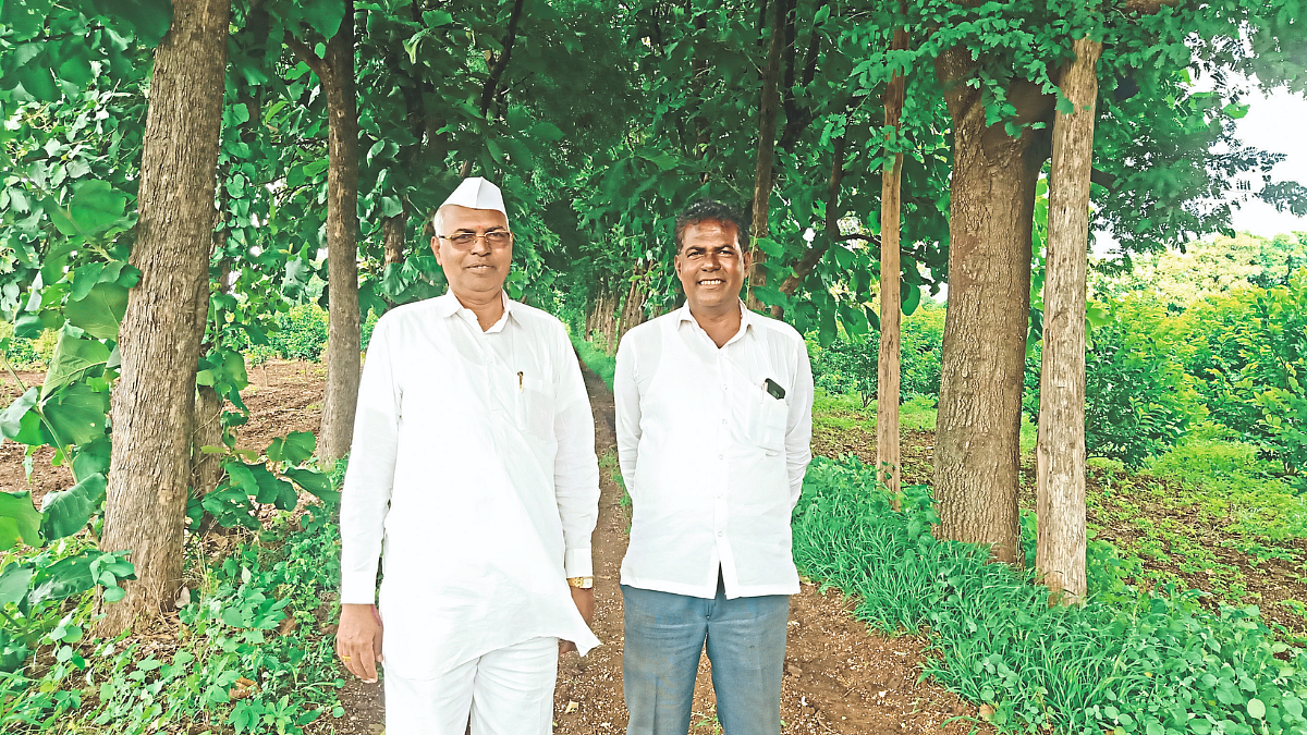 Fruit Crop Farming