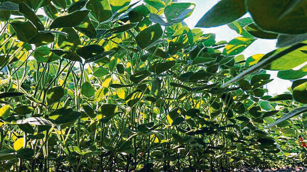 Agriculture Technology