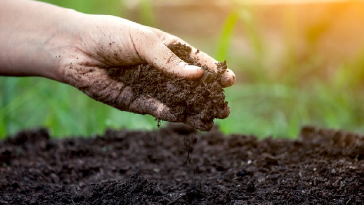 Soil Erosion