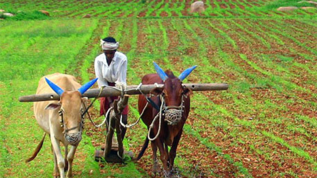 Maharashtra Farmers