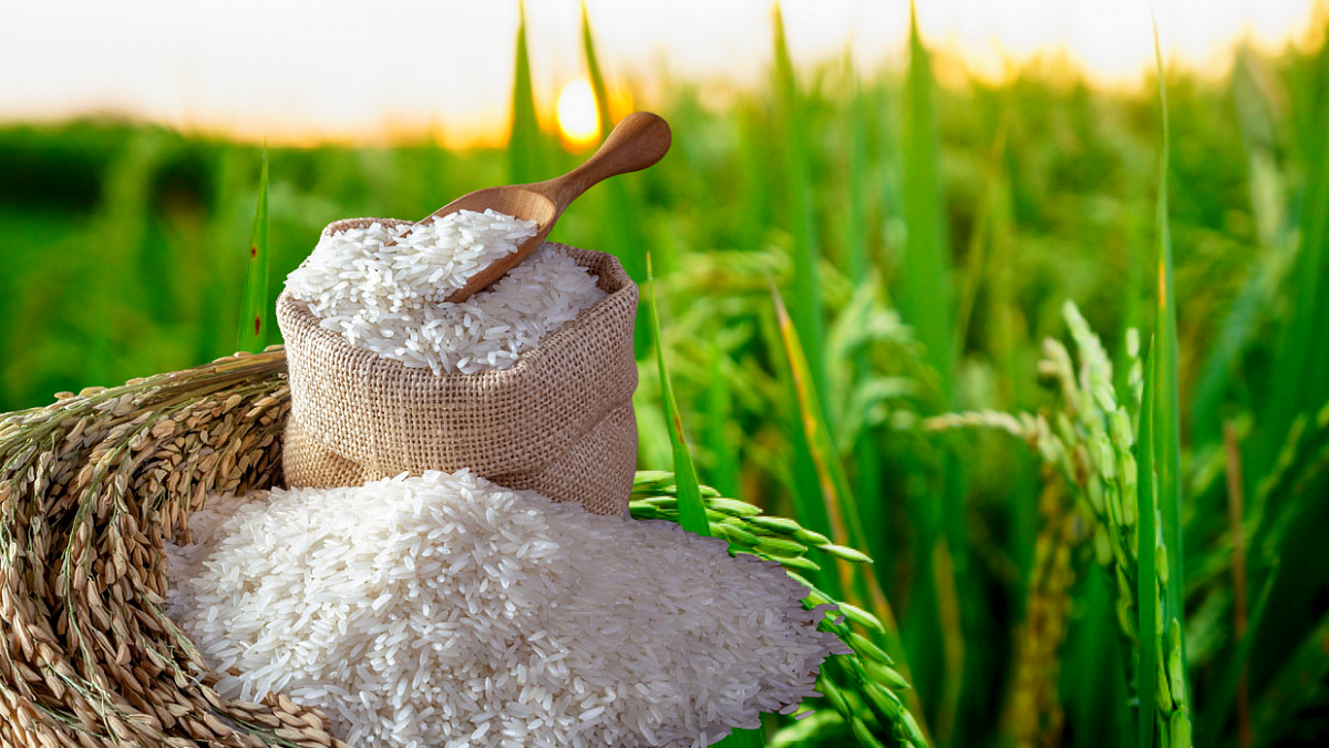 Indrayani Rice